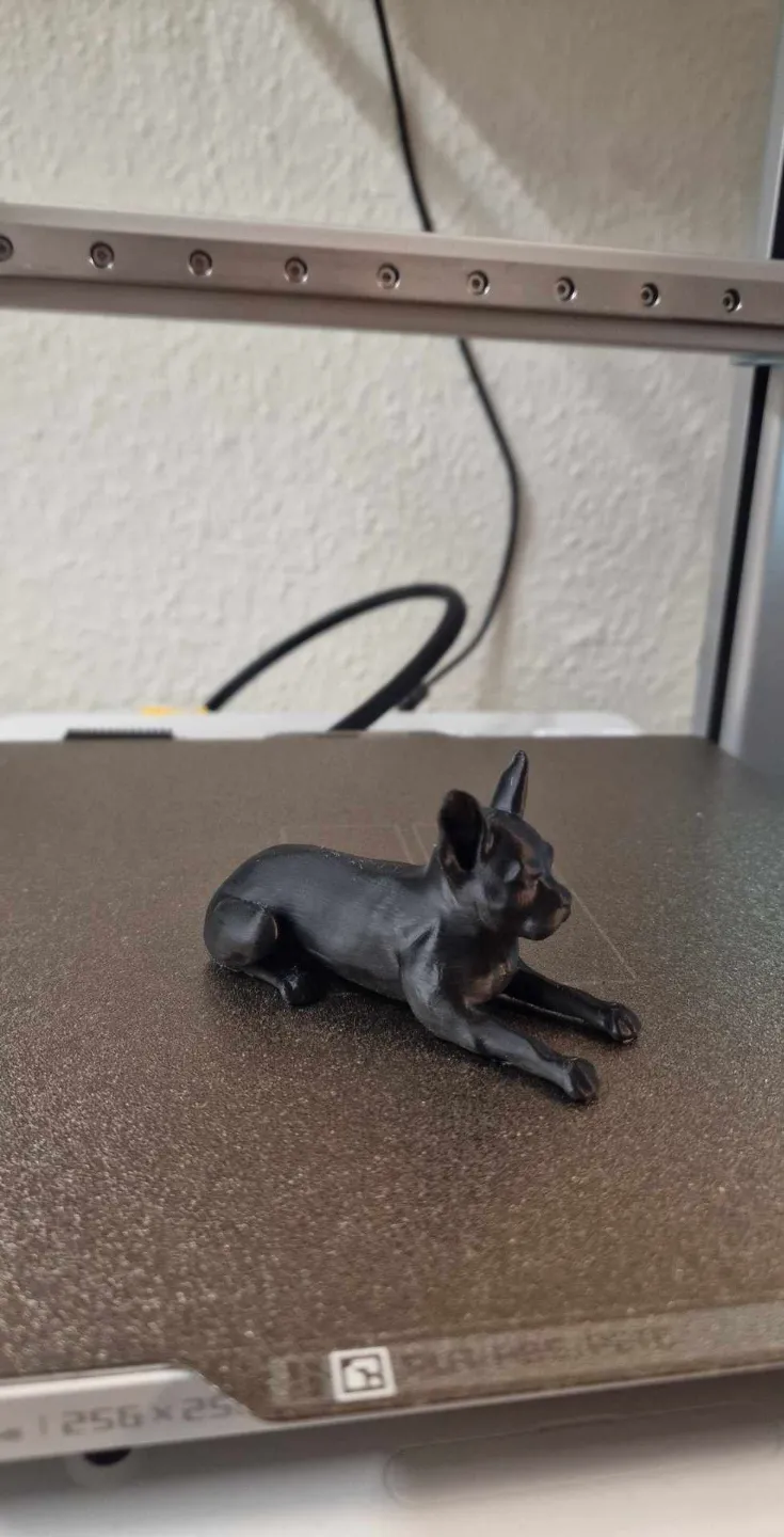 French Bulldog, photo 3 of 4 - French Bulldog Art