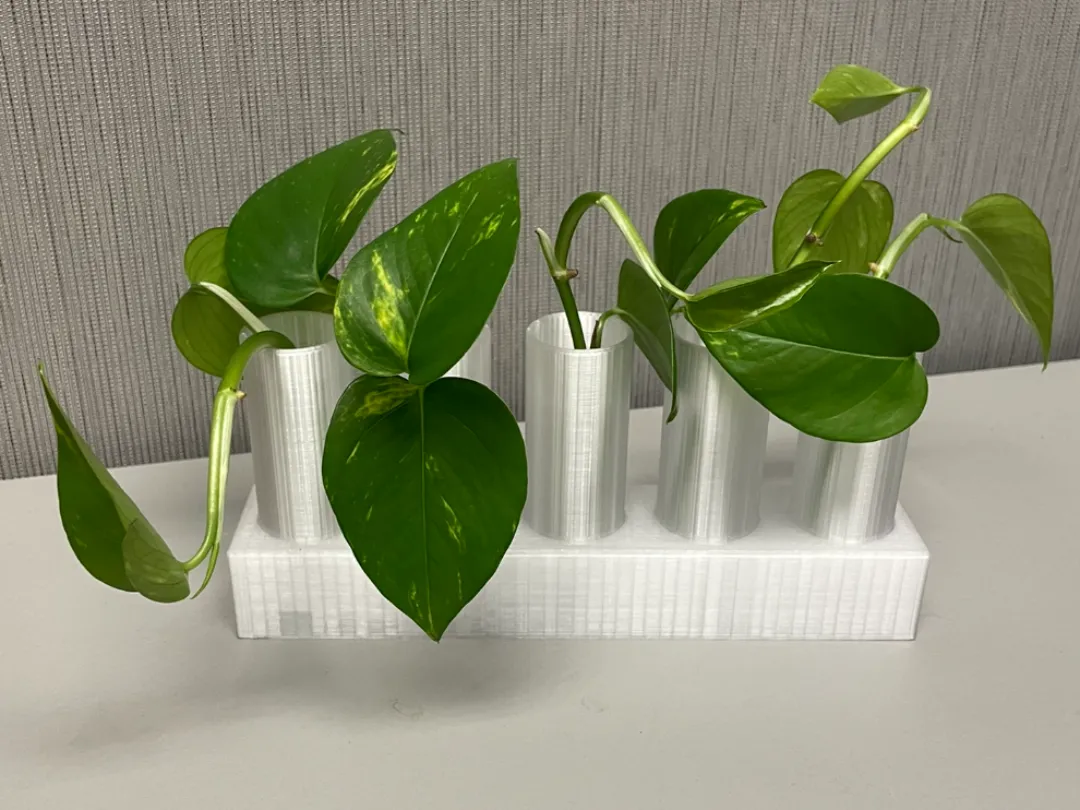 Lab-Style Test Tube Propagation Vase