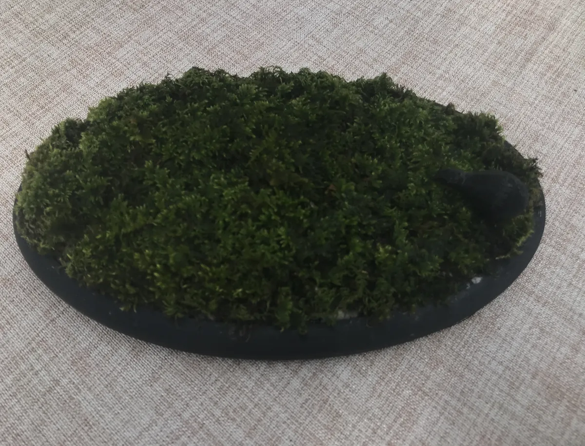 Self-hydrating Moss planter, photo 2 of 3 - Self-watering Planters, pot