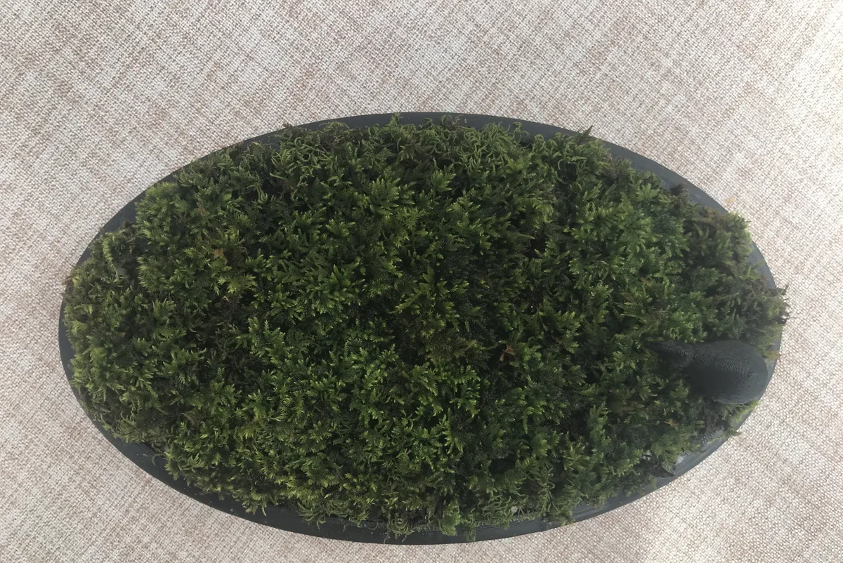 Self-hydrating Moss planter, photo 3 of 3 - Self-watering Planters, self watering