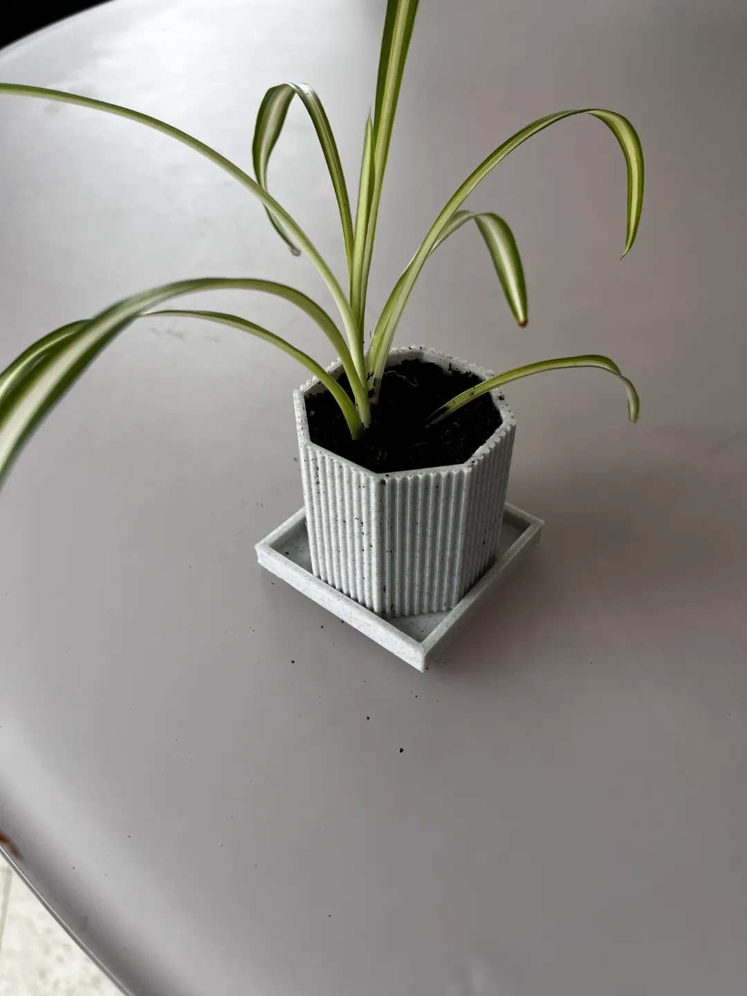 Small Planter Ideal For Cactus, photo 2 of 2 - Succulent & Mini Planters, pot
