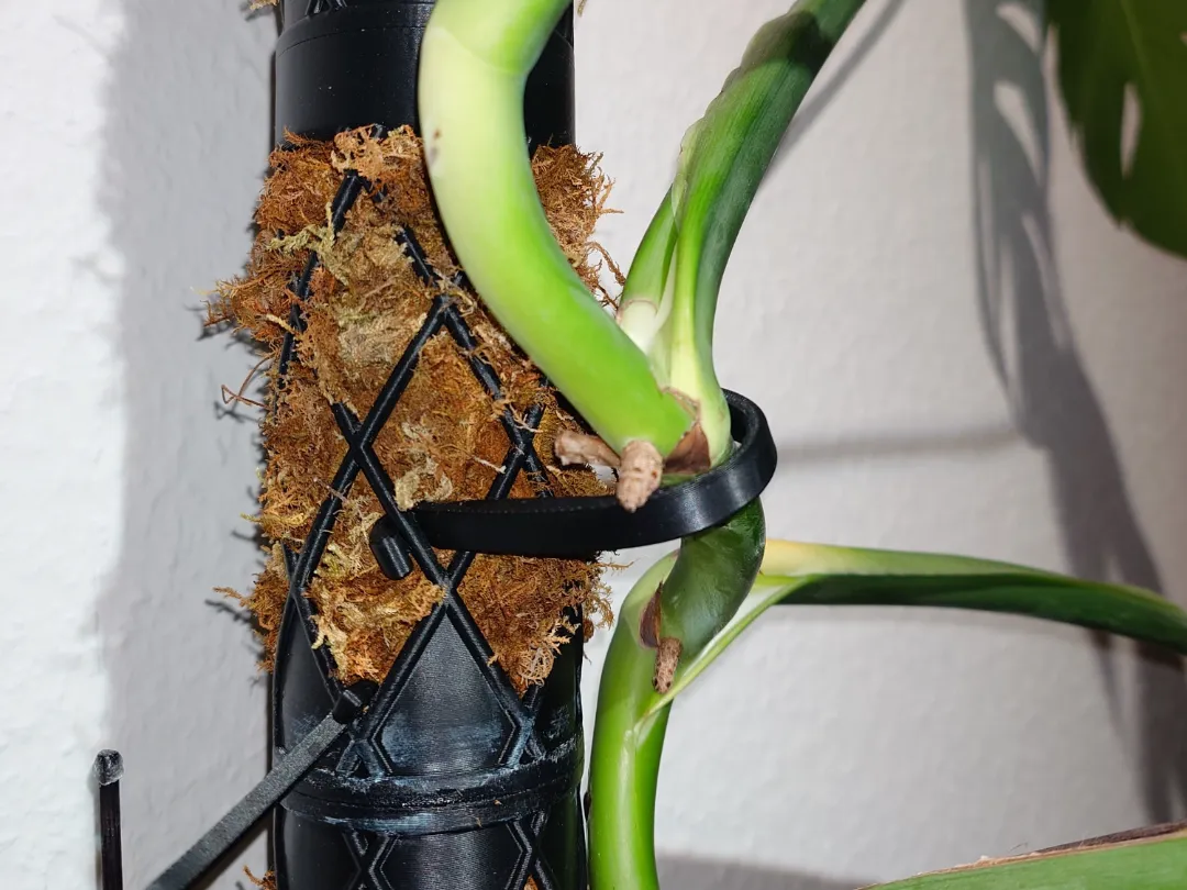 Moosstab Pflanzen Halterungs Clip