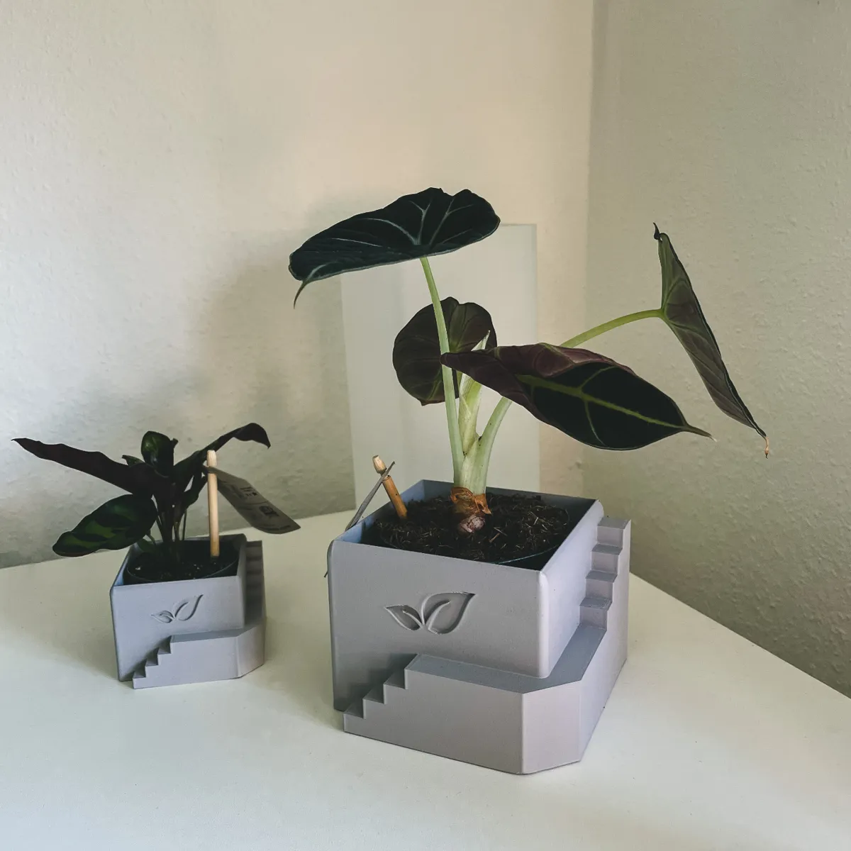 PLAnter