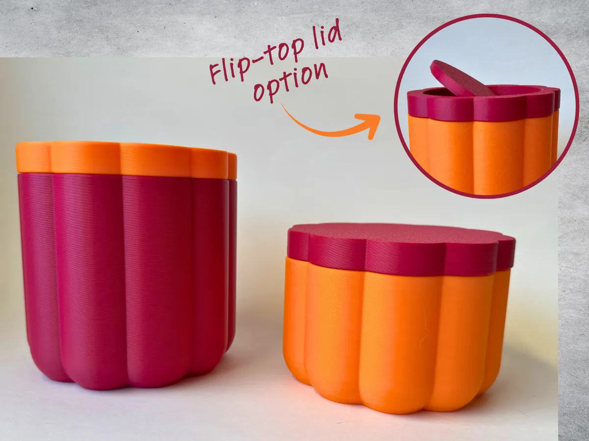 Stylish Container w/ Lid Options