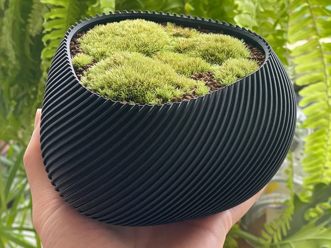 Spiral Vase