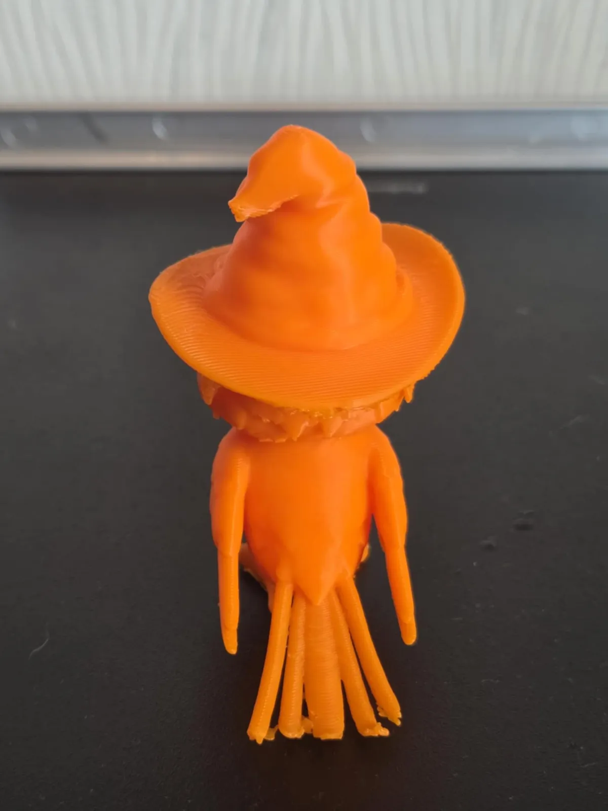 Fawkes wearing the Sorting Hat - Harry Potter, photo 4 of 4 - Fawkes wearing the Sorting Hat - Harry Potter Jewellery & Accessories