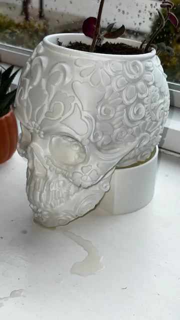 Water Bowl for Mexican Calvera Skull Planter, photo 2 of 2 - Water Bowl for Mexican Calvera Skull Planter Garden & Outdoor