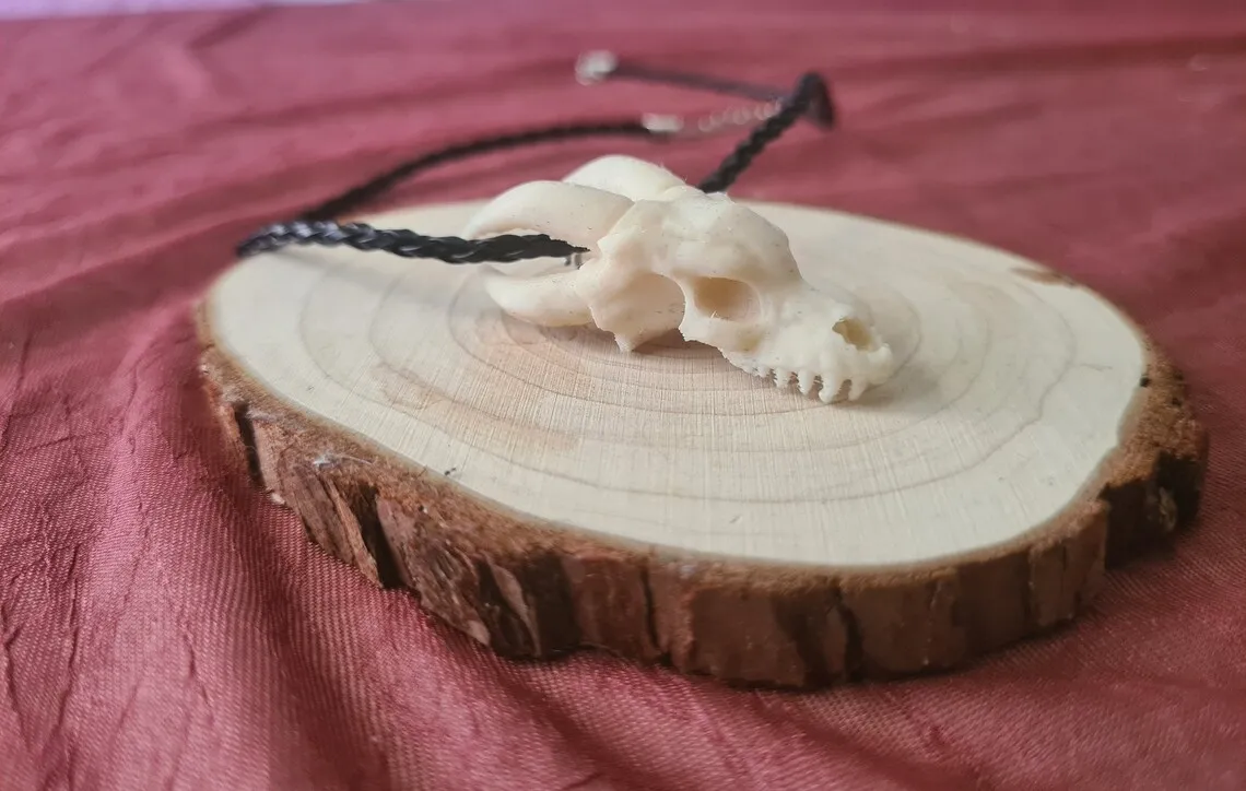 Dragon skull necklace keychain earring, photo 4 of 4 - Dragon skull necklace keychain earring Keychains