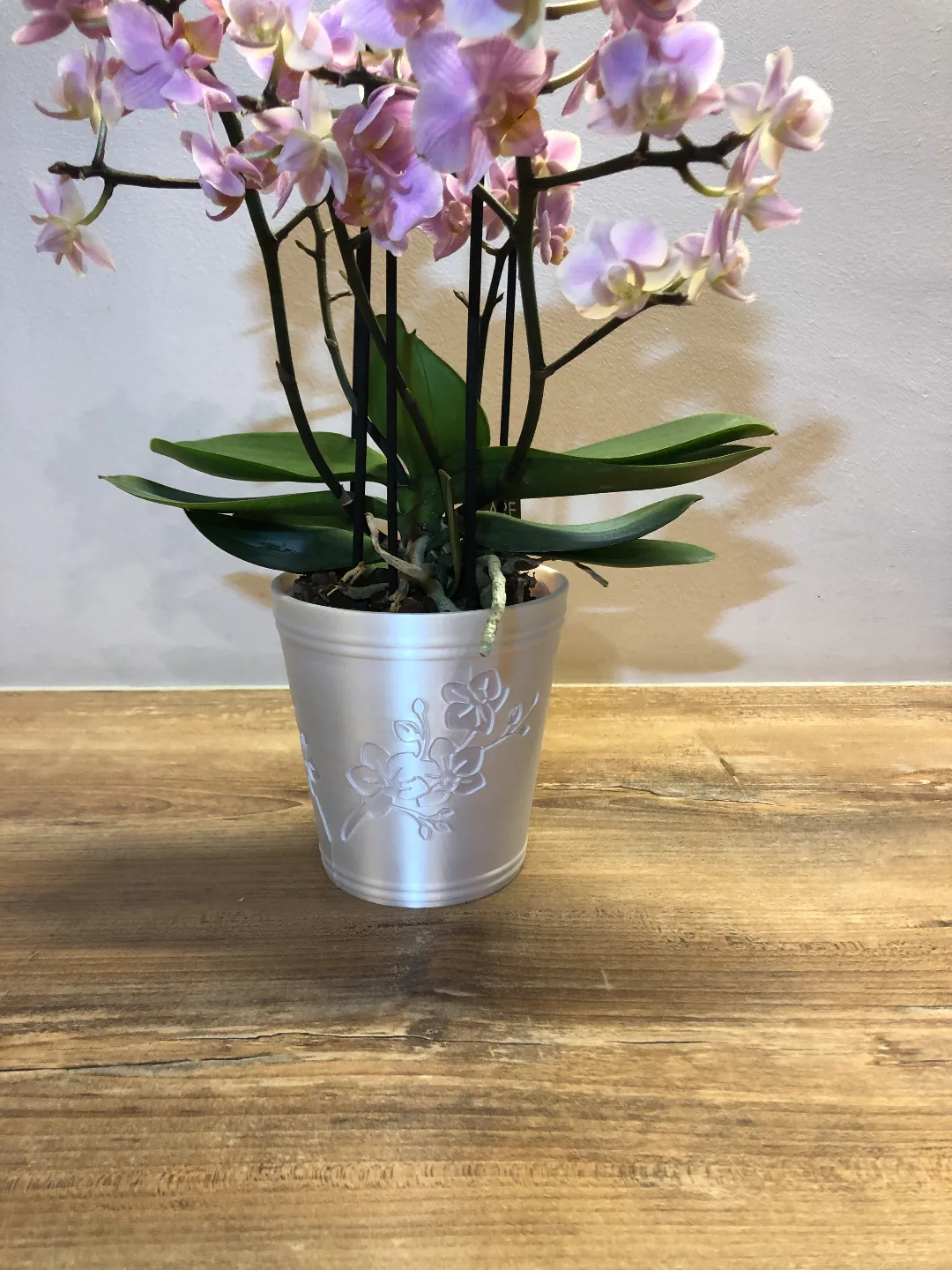 Orchid planter with grid plant pot, photo 3 of 4 - Orchid planter with grid plant pot Garden & Outdoor