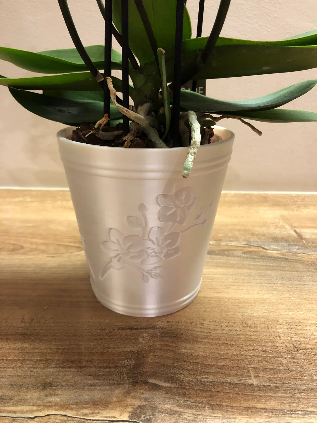 Orchid planter with grid plant pot, photo 4 of 4 - Orchid planter with grid plant pot Garden & Outdoor