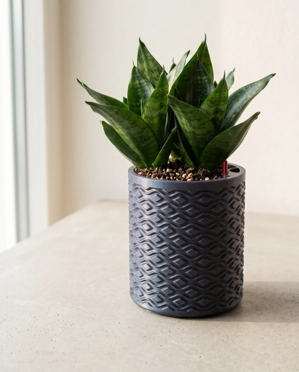 Customisable Self-Watering Planter, photo 2 of 4 - Customisable Self-Watering Planter Household