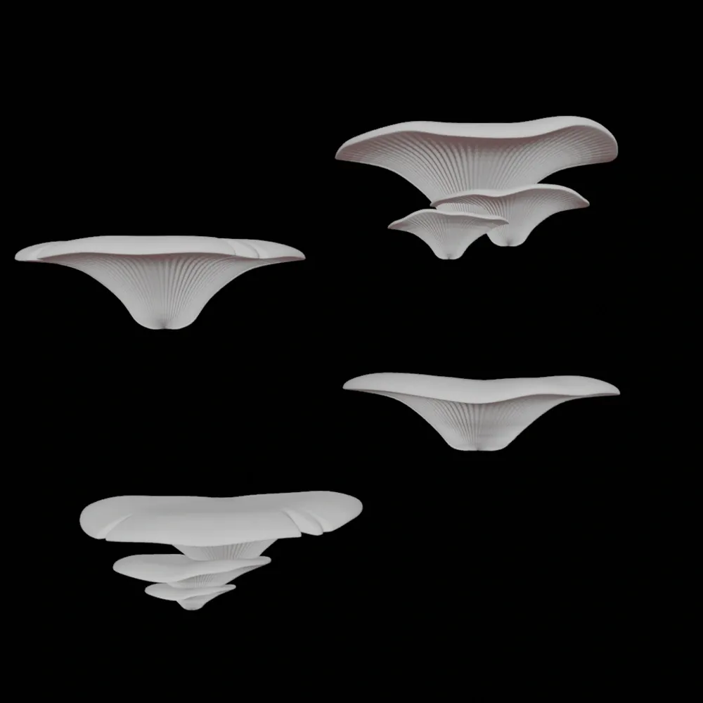 Oyster shelves with cleats