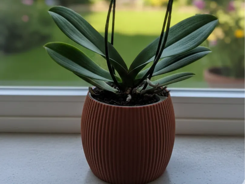 Self-Watering Ribbed Vase