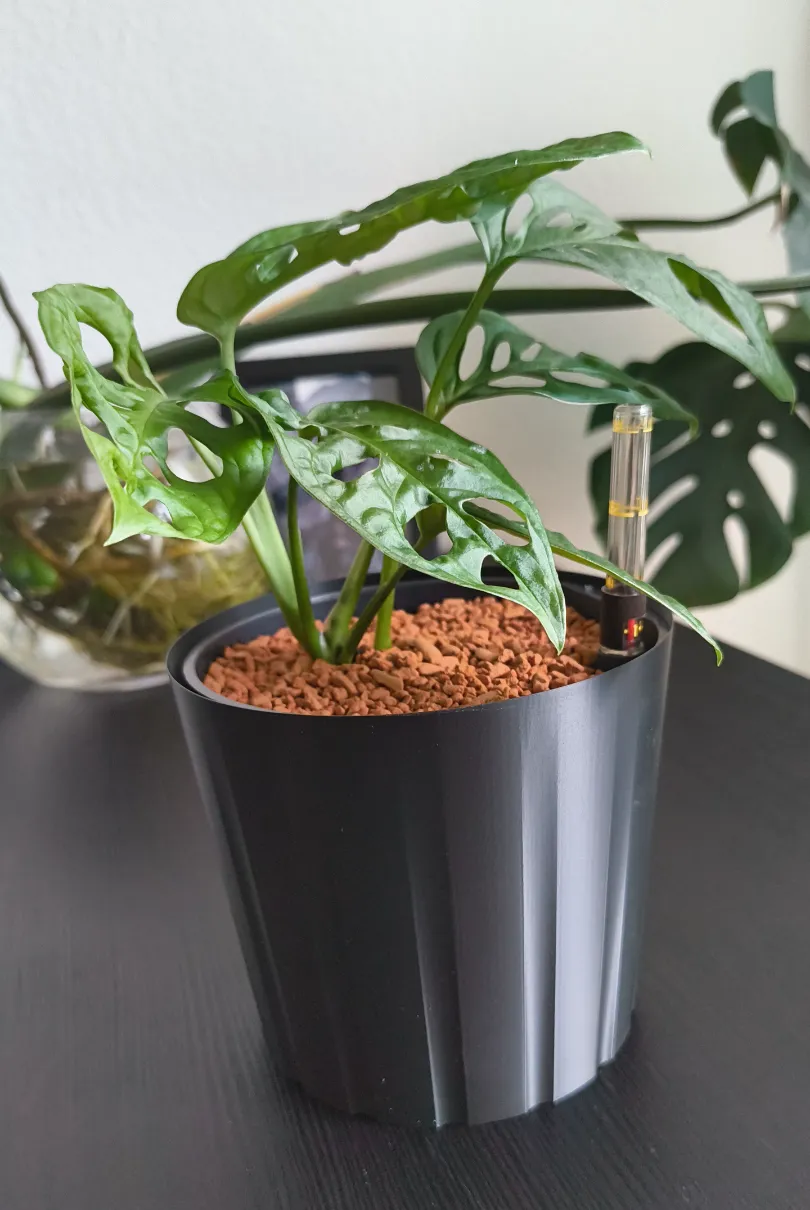 Basic Vase - Vases, in stock in India