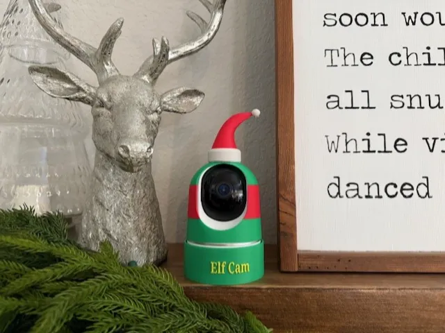 Elf Cam