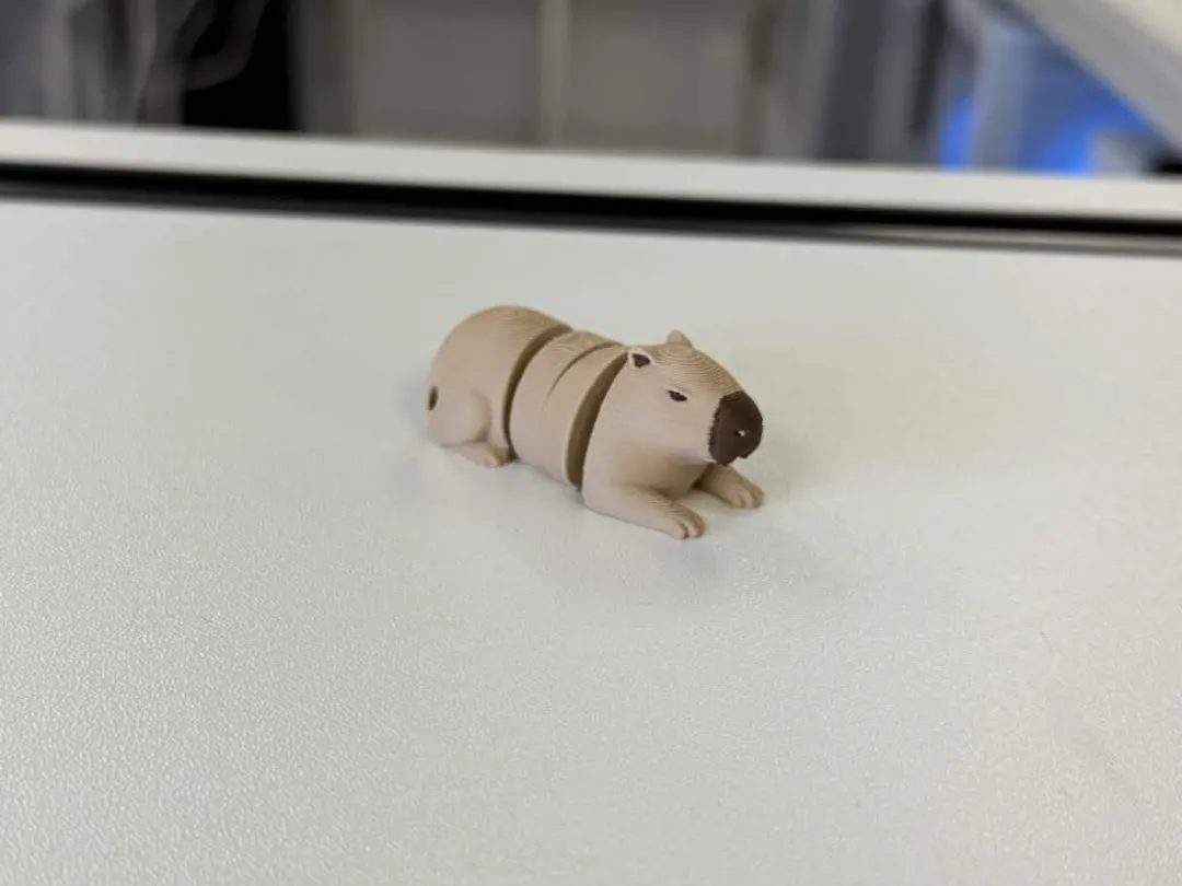 Realistic Capybara Colored
