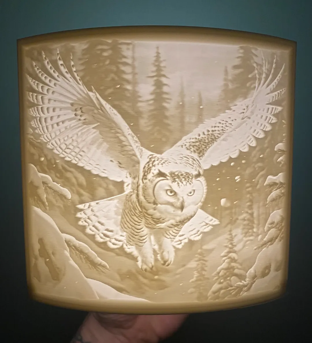 owl