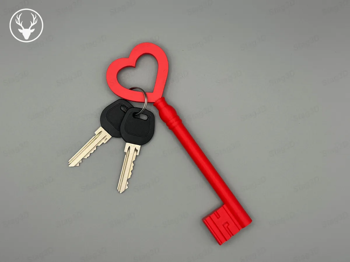 Giant Key Keyring, photo 3 of 4 - Giant Key Keyring Keychains