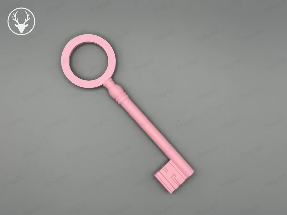 Giant Key Keyring, photo 4 of 4 - Giant Key Keyring Keychains