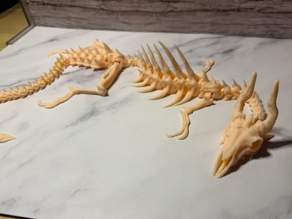 Large Articulated Bone Dragon Skeleton, 24”