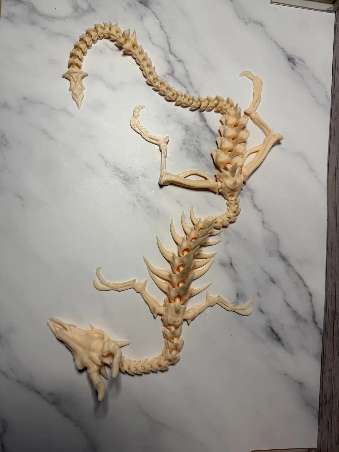 Large Articulated Bone Dragon Skeleton, 24”, photo 3 of 4 - Large Articulated Bone Dragon Skeleton, 24” Fidget & Sensory Toys