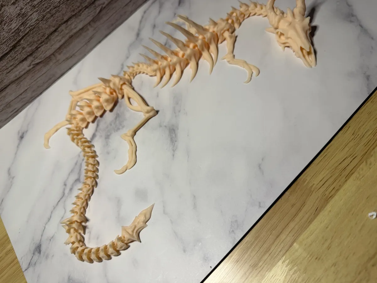 Large Articulated Bone Dragon Skeleton, 24”, photo 4 of 4 - Large Articulated Bone Dragon Skeleton, 24” Fidget & Sensory Toys