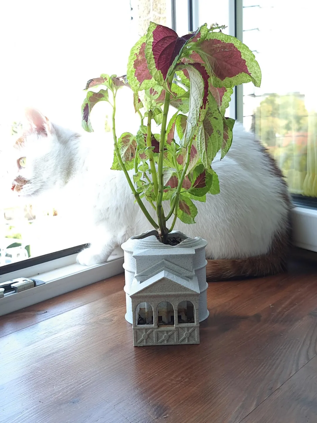 Roman Pantheon inspired Self-watering planter, photo 3 of 4 - Roman Pantheon inspired Self-watering planter Garden & Outdoor