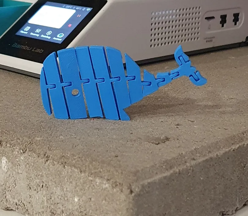 Flexi Articulated Whale - Gadgets, in stock in India