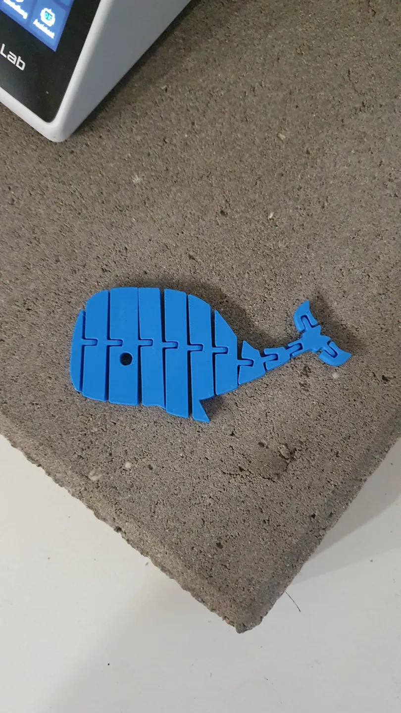 Flexi Articulated Whale, photo 3 of 4 - Flexi Articulated Whale Tools