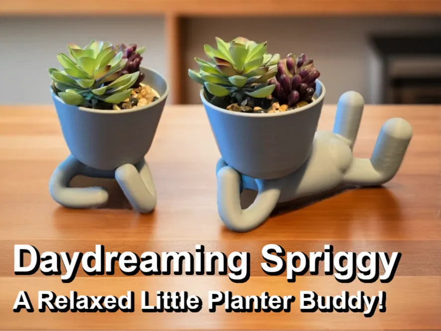 Daydreaming Spriggy, A Relaxed Planter Buddy!