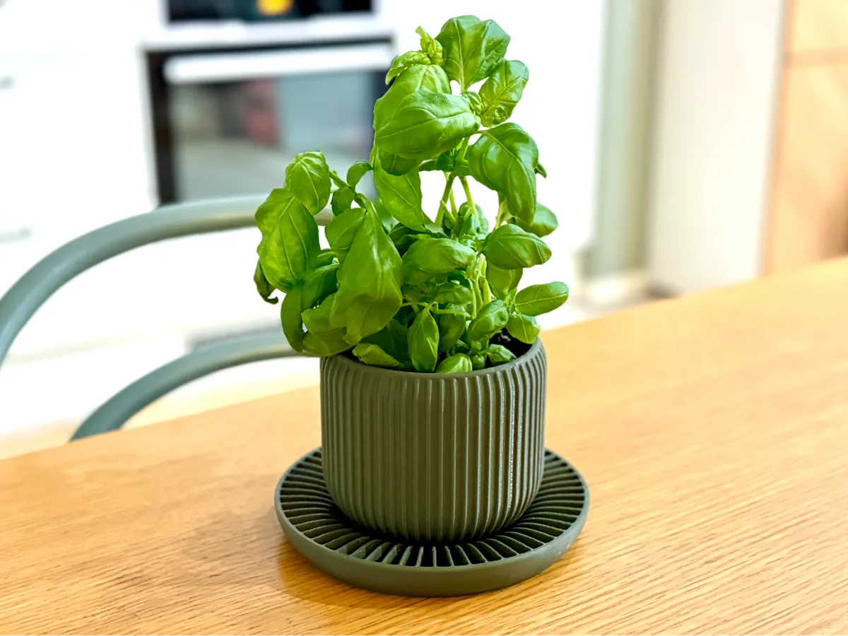 Small Planter with Water Tray