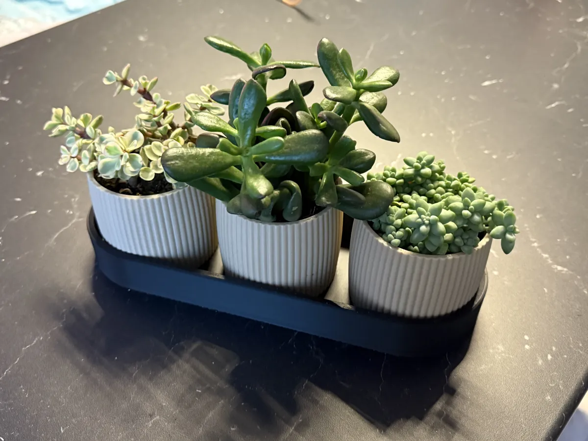 NORDÉ Collection modern planters with tray, photo 4 of 4 - NORDÉ Collection modern planters with tray Garden & Outdoor