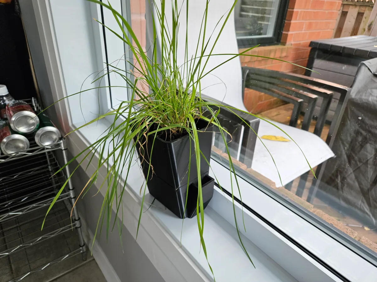Self-Watering Flower Pot - Made for Window Sills, photo 2 of 4 - Self-watering Planters, flowers