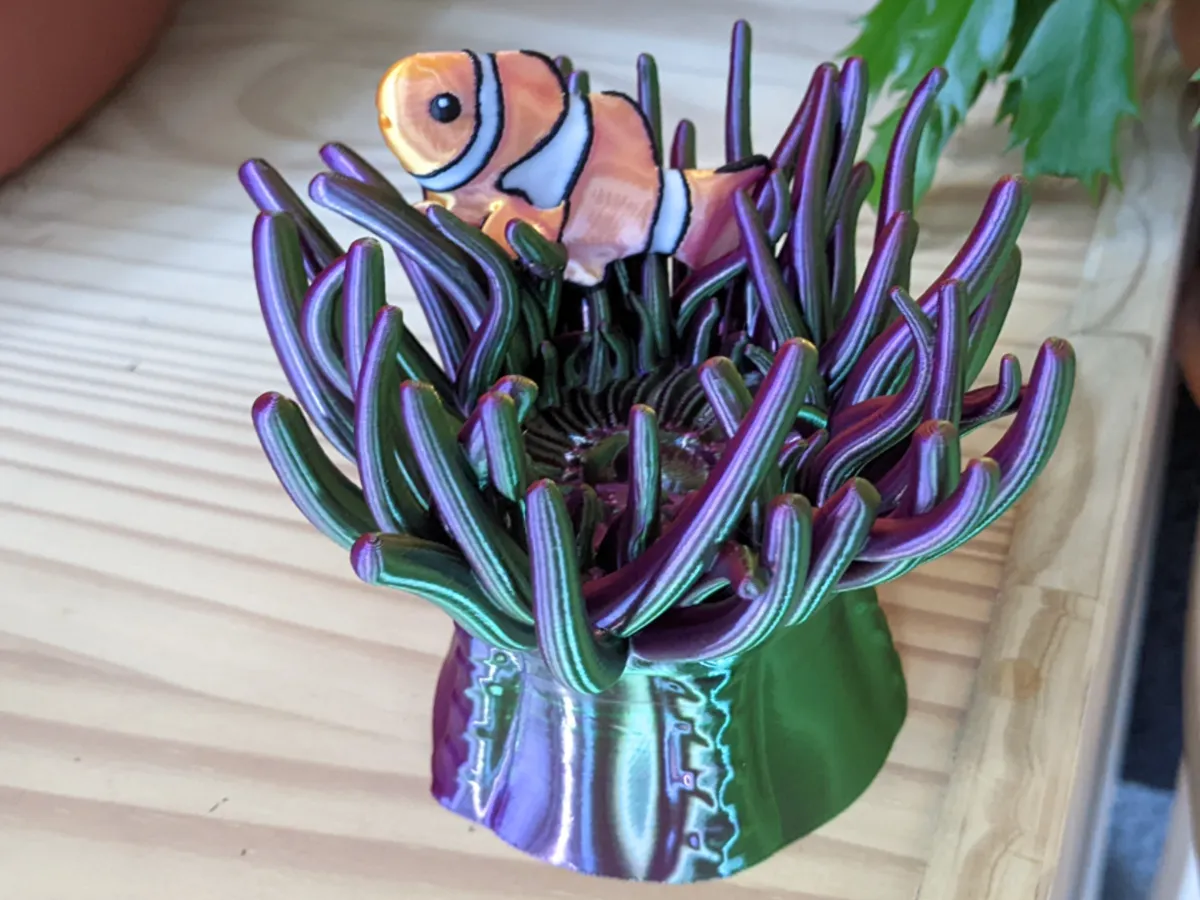 Sea Anemone Puzzle box - Puzzles, in stock in India