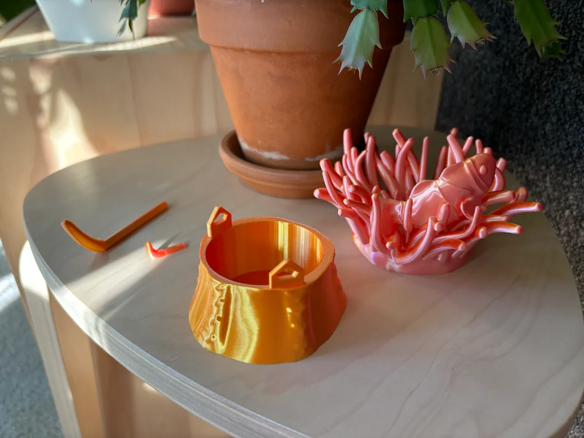 Sea Anemone Puzzle box, photo 3 of 4 - Sea Anemone Puzzle box Toys & Games