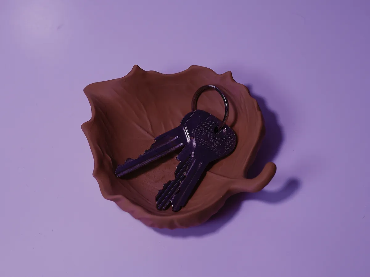 Leaf Key Dish, photo 4 of 4 - Leaf Key Dish Storage & Organisation