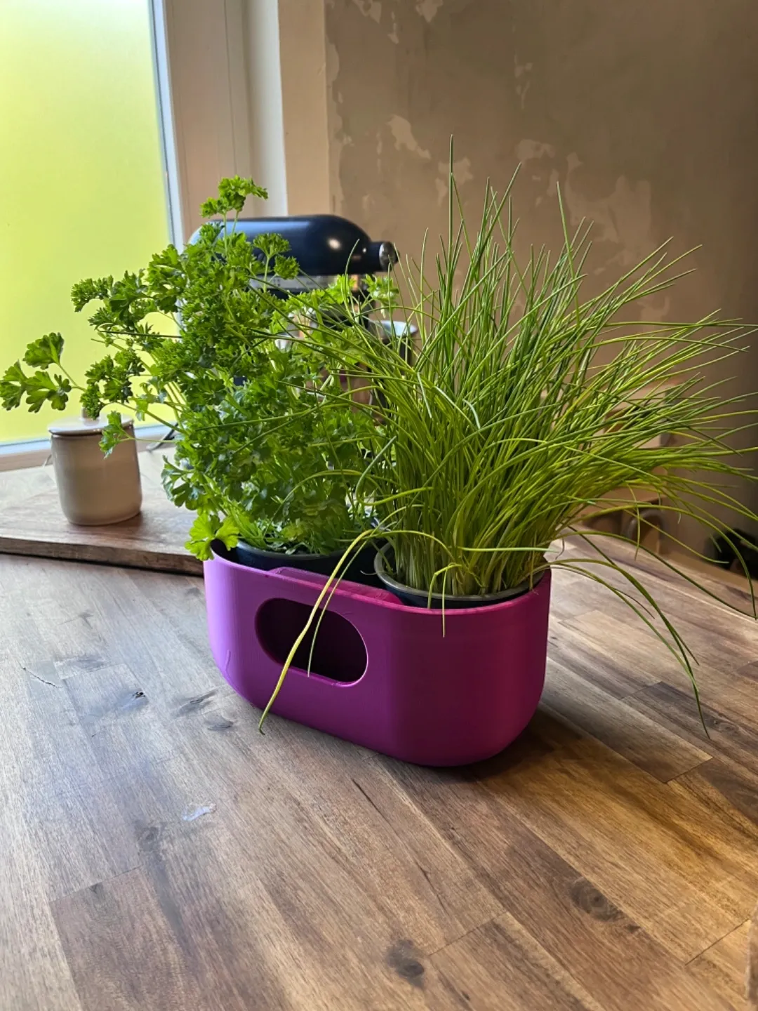 Self Watering Design Planter, photo 4 of 4 - Self-watering Planters, garden