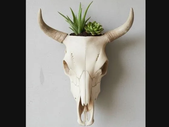 Southwestern Skull Planter/Vase