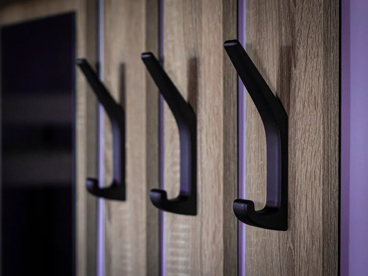 Modern Wall Hook
