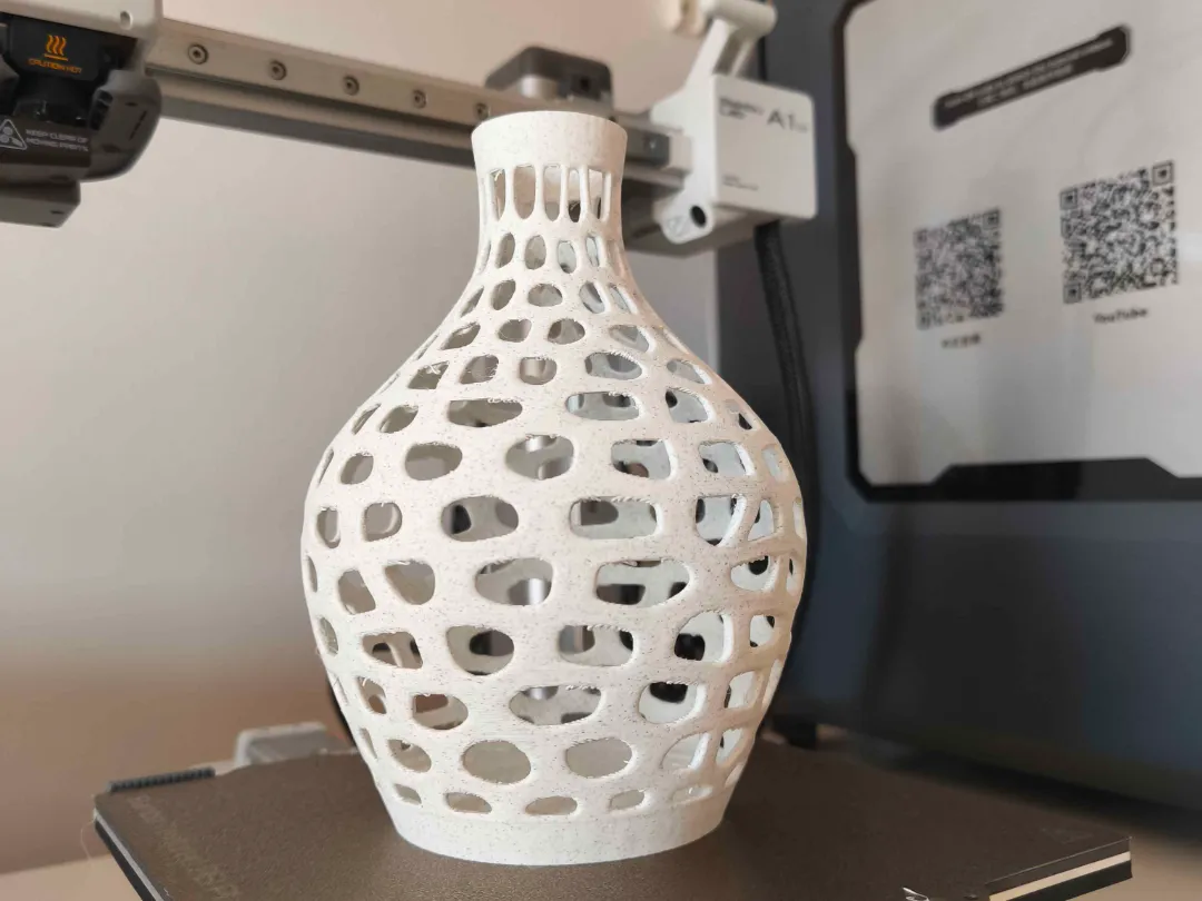 Dry flowers voronoi vase