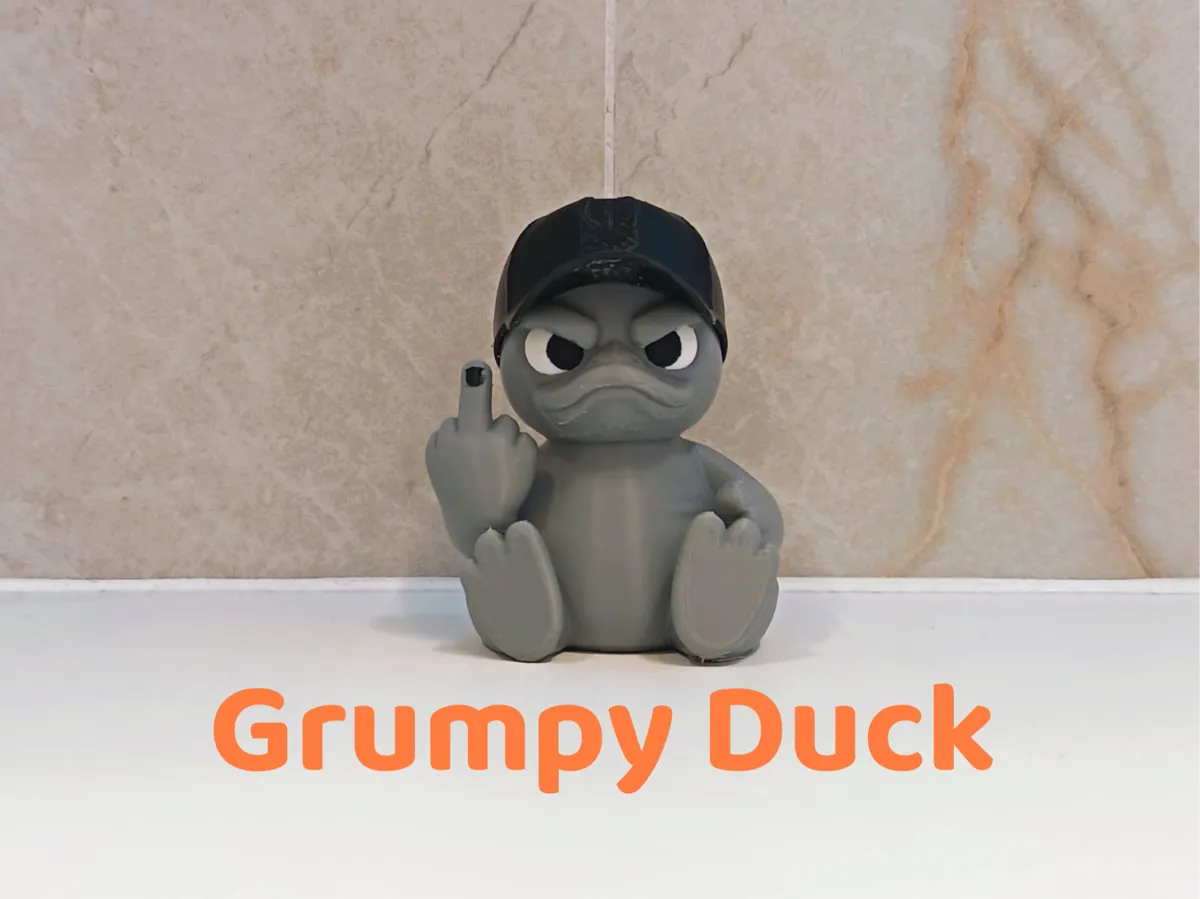 Grumpy Duck