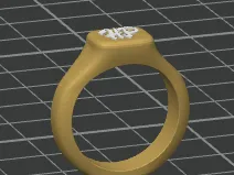 HP RING (size 10)
