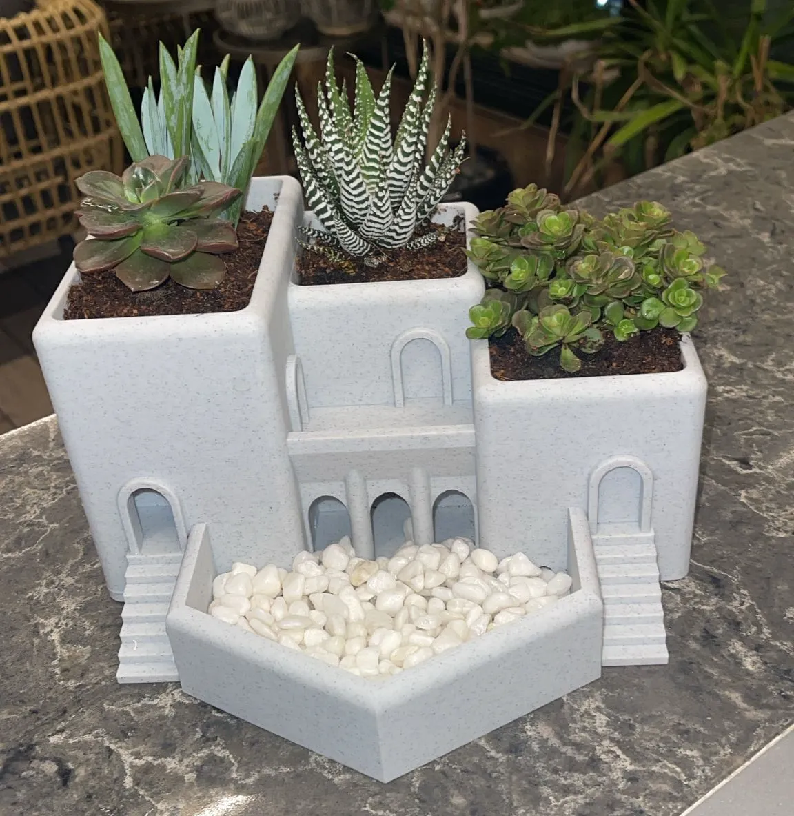 Roman Terrace Garden Succulent Planter
