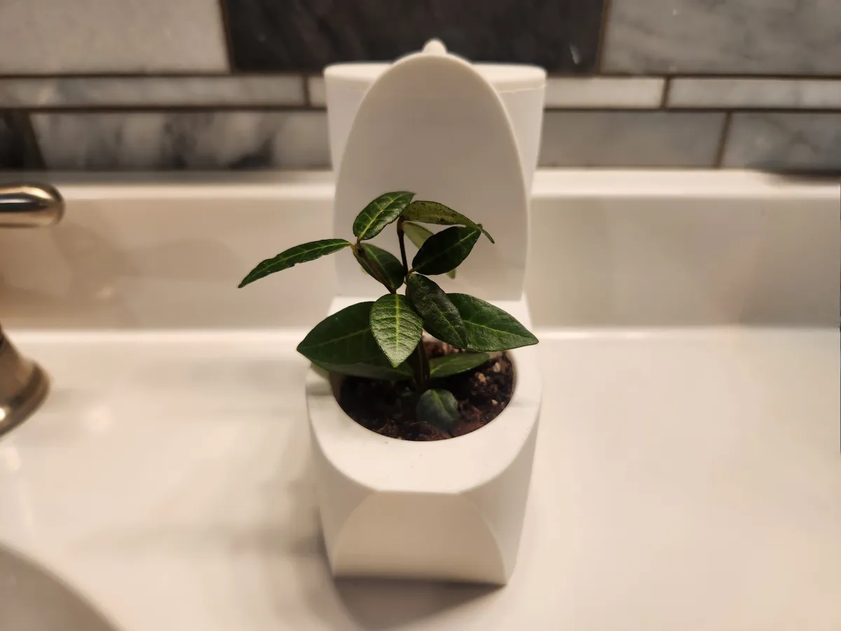 Self-watering Toilet Plant Pot, photo 2 of 3 - Self-watering Toilet Plant Pot Household