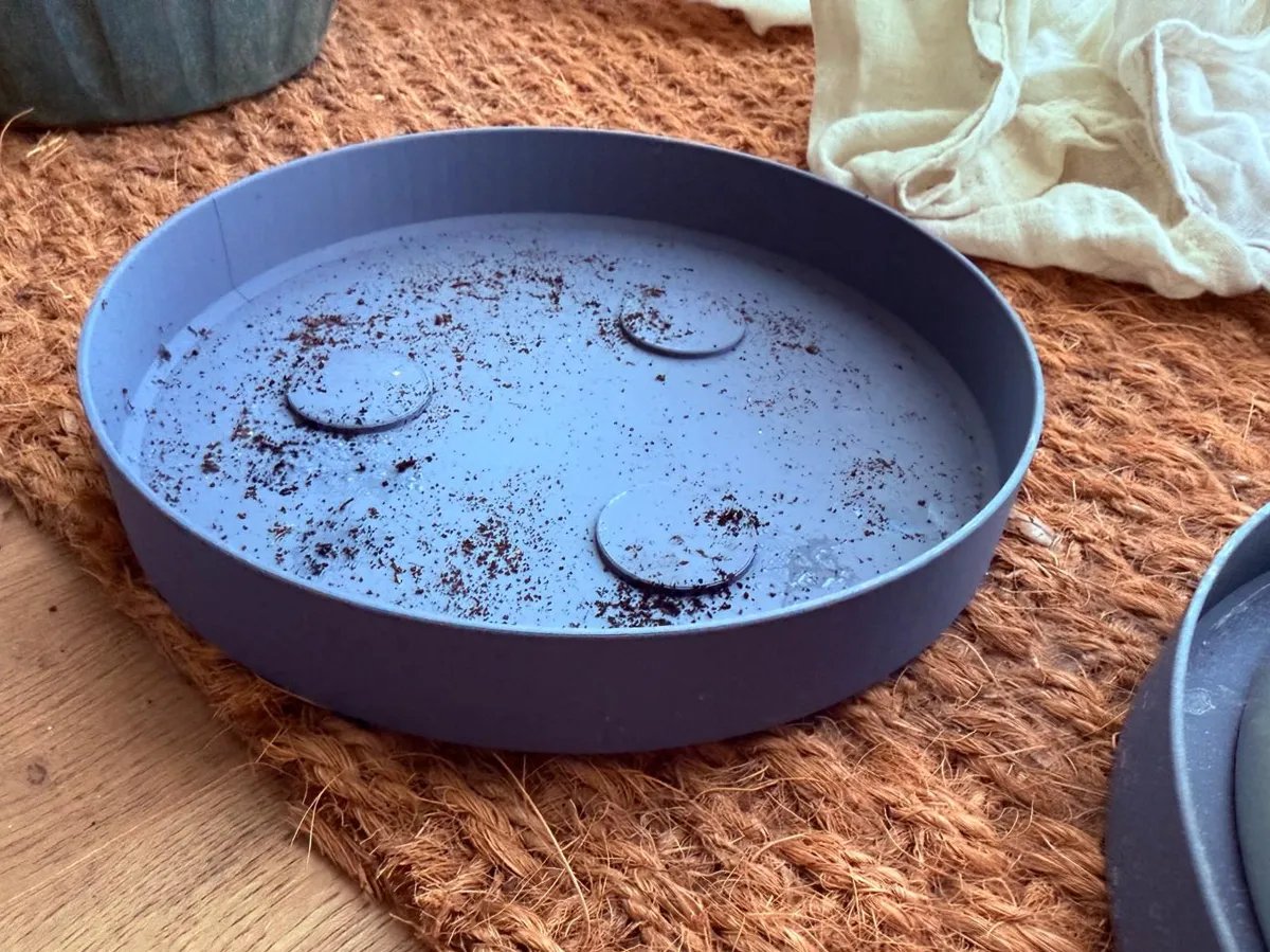 Customizable Planter & Pots Plate, Parametric