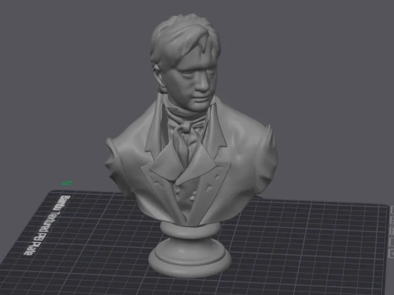 Mr. Darcy - Bust