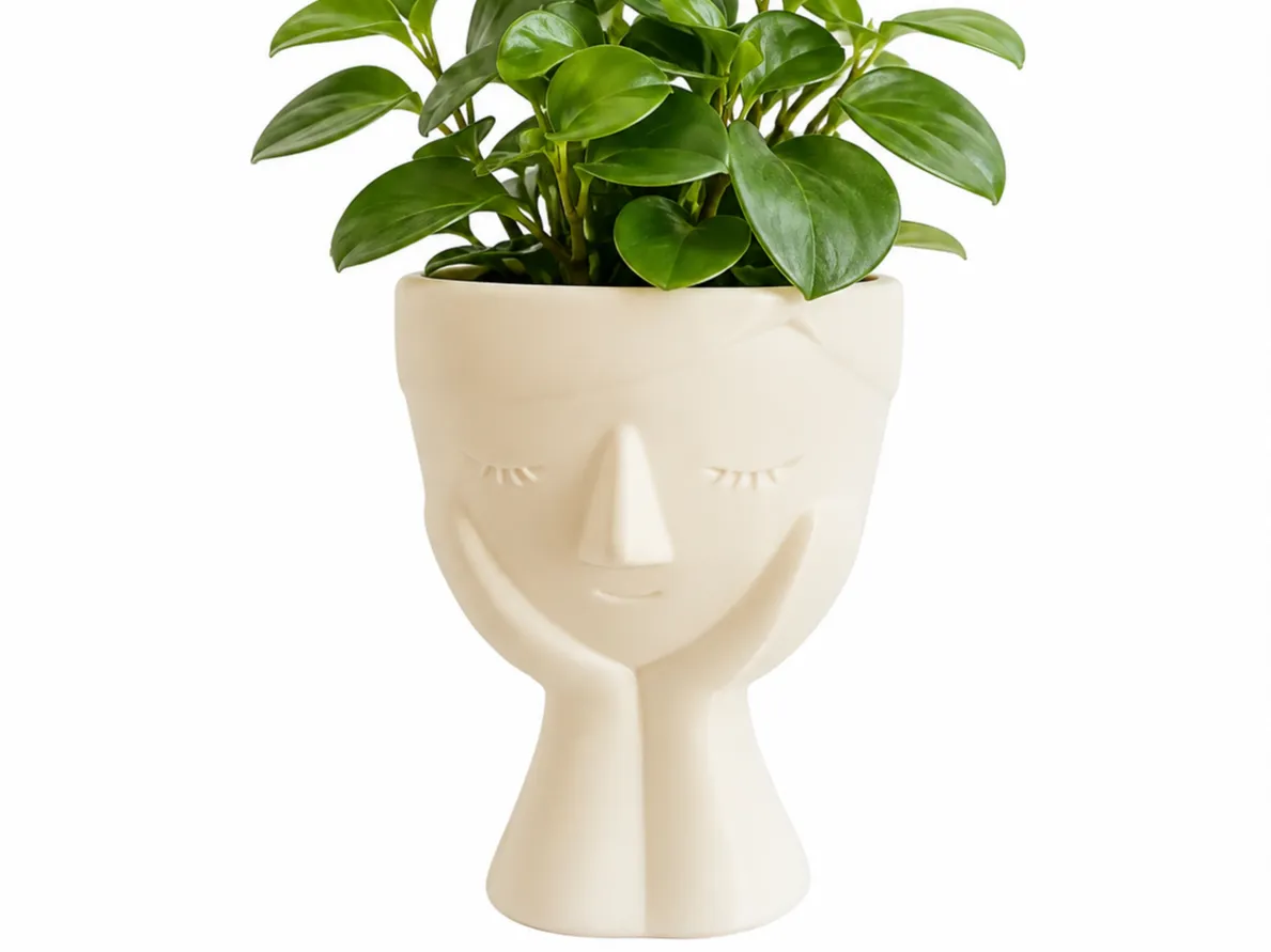 Vaso Abraço Boneca - Face Planter Decorativo - Decor, in stock in India