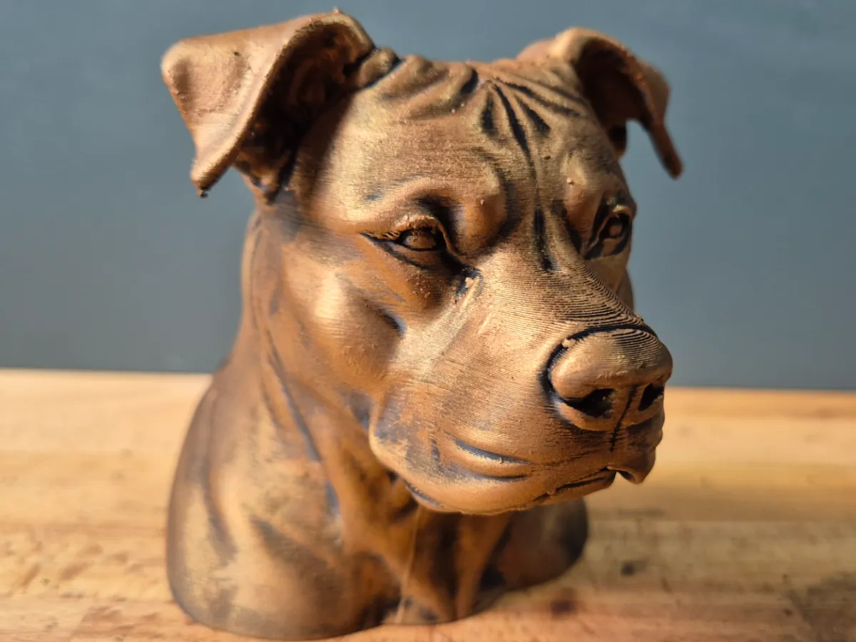 Pitbull (natural ears) Bust