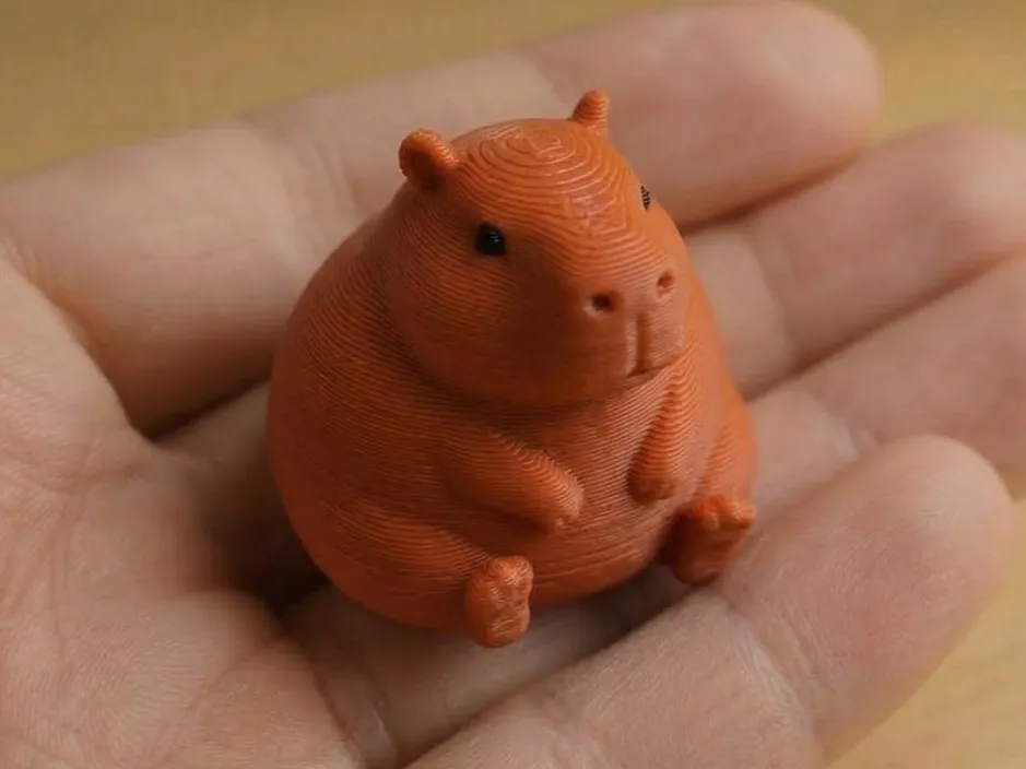 Chubby Capybara