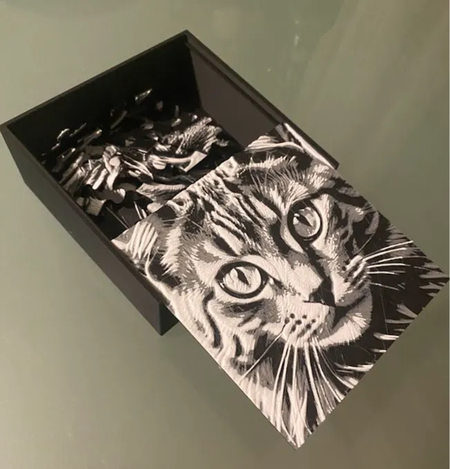 Cat Puzzle, Hueforge with Box and Lid with Preview - 2D Art, in stock in India